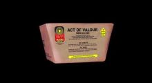 Act of Valour